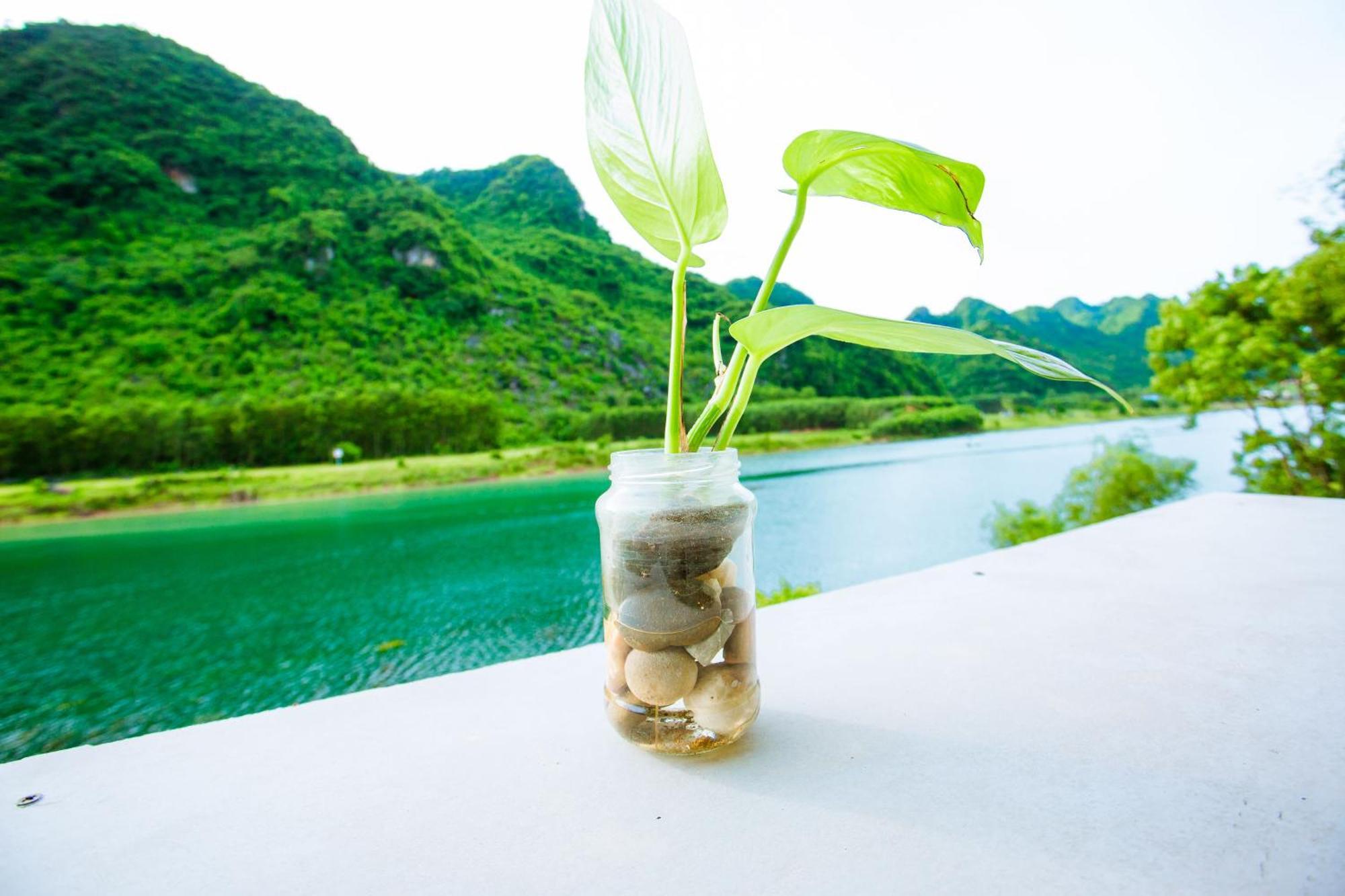 Phong Nha A Little Leaf Homestay المظهر الخارجي الصورة