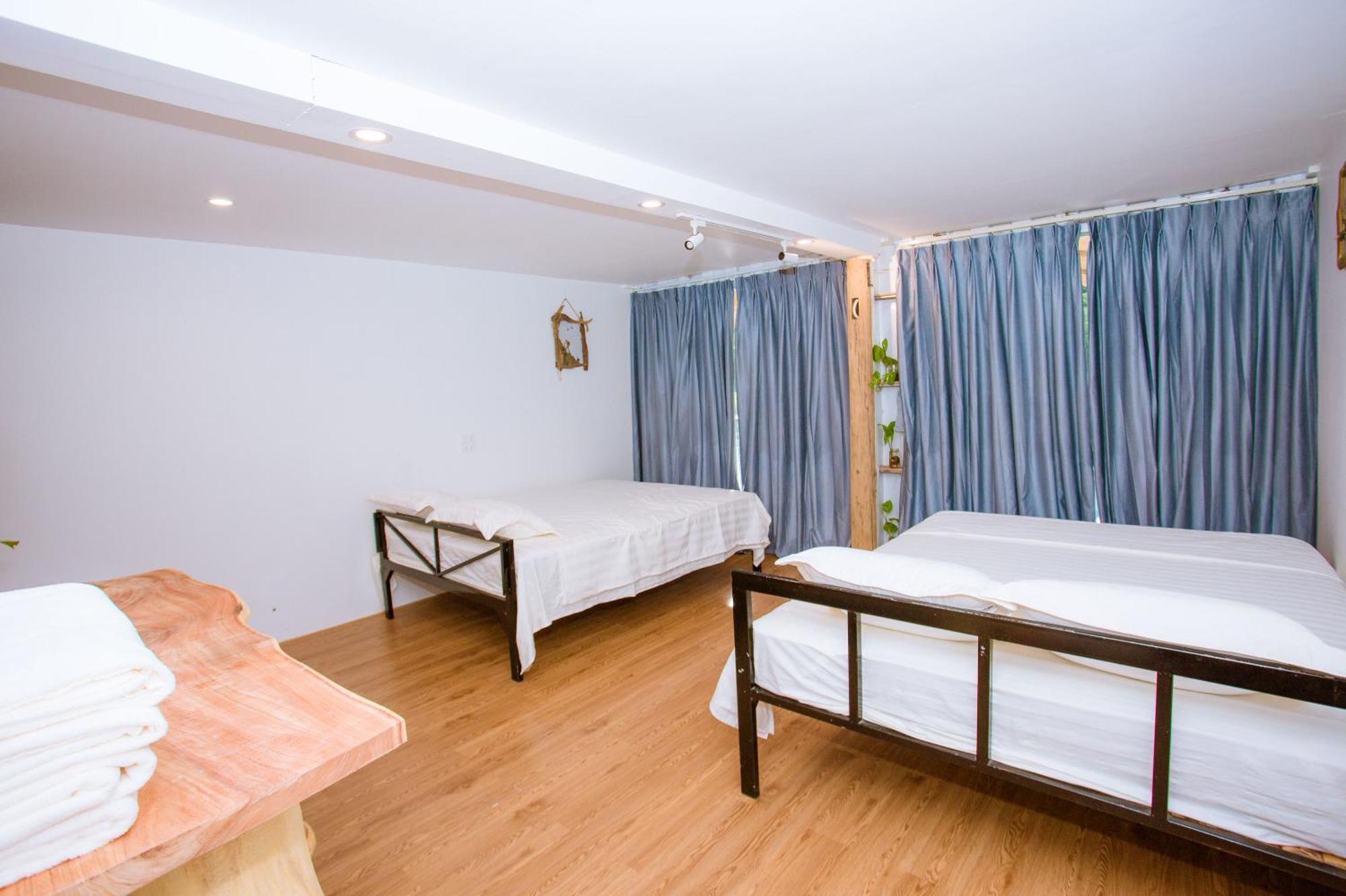 Phong Nha A Little Leaf Homestay المظهر الخارجي الصورة