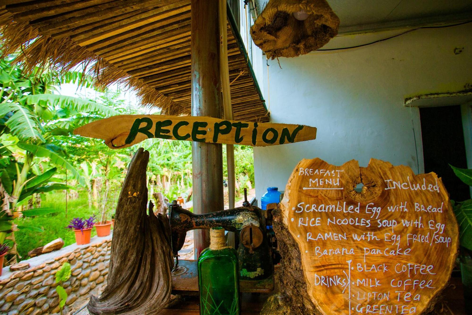 Phong Nha A Little Leaf Homestay المظهر الخارجي الصورة