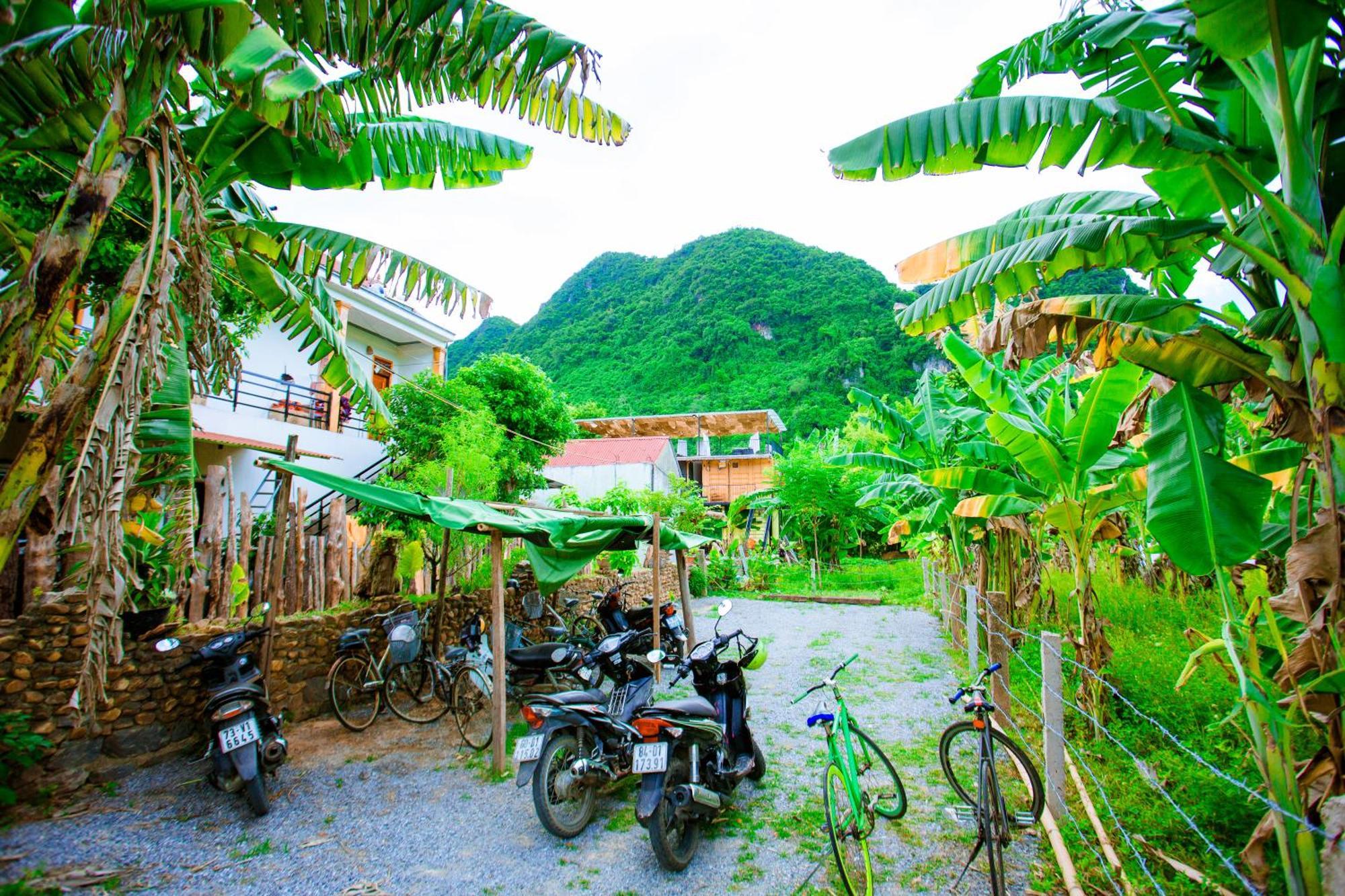 Phong Nha A Little Leaf Homestay المظهر الخارجي الصورة