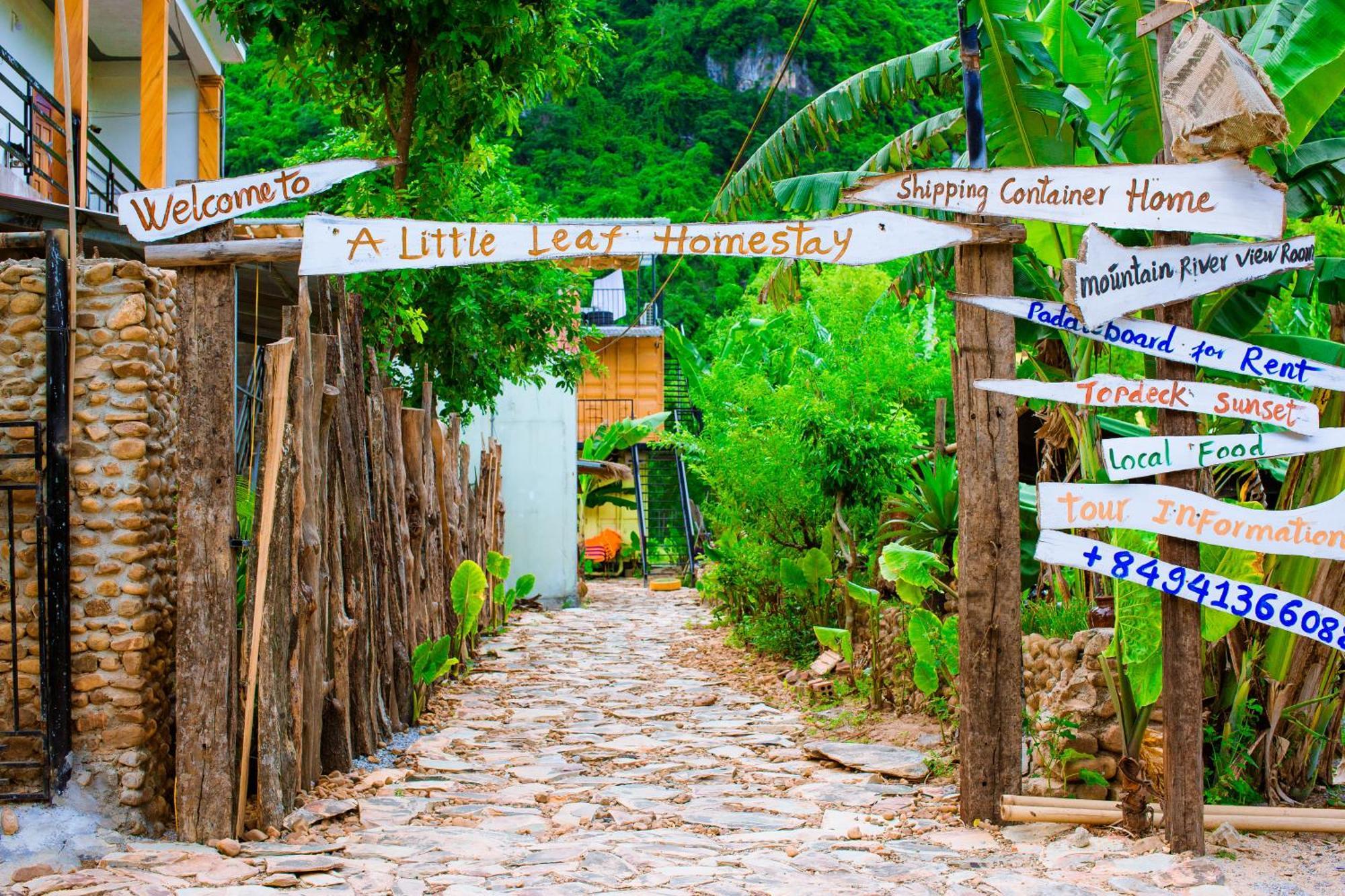 Phong Nha A Little Leaf Homestay المظهر الخارجي الصورة
